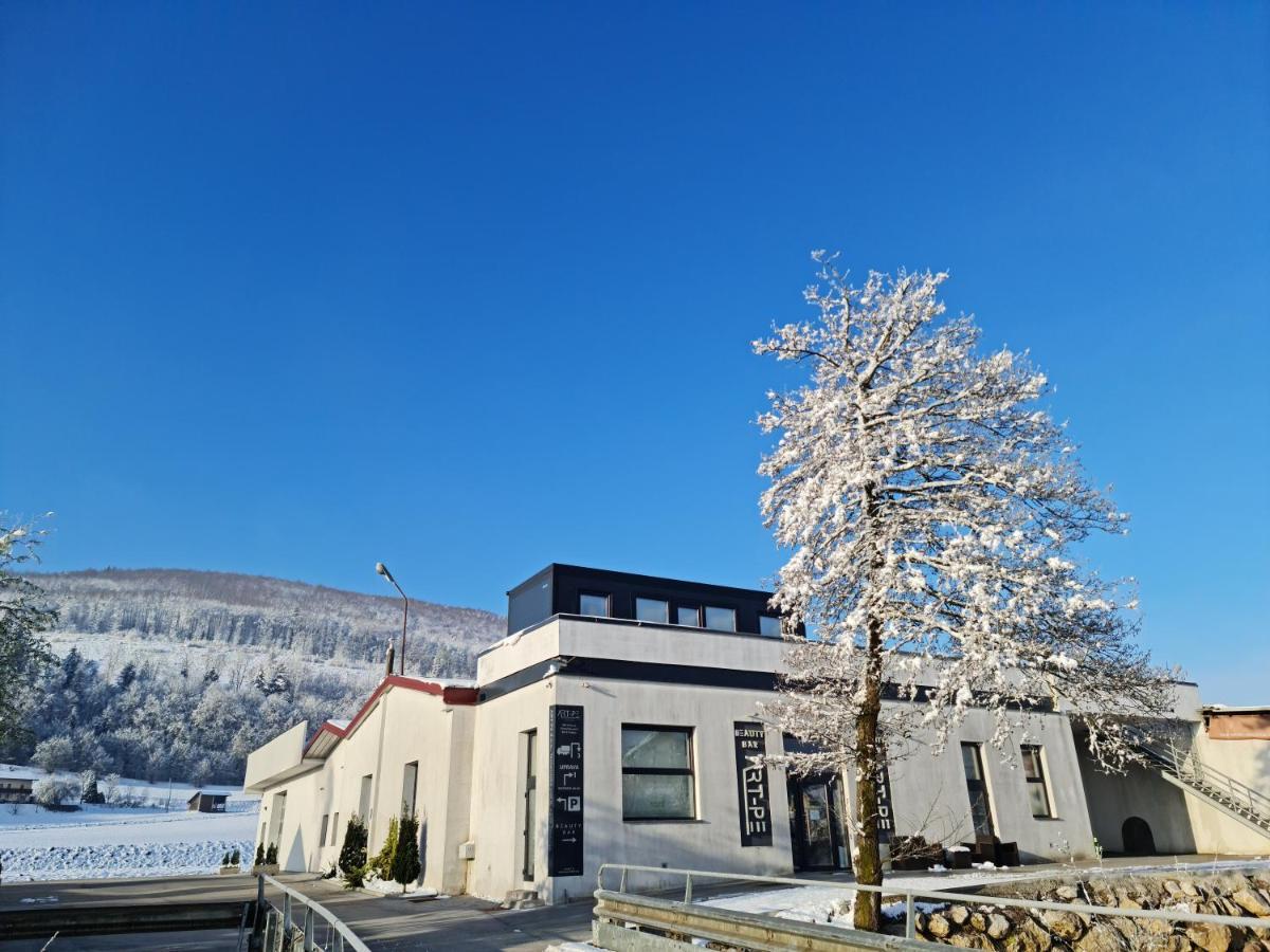 Roof Apartment Art-Pe Trebnje المظهر الخارجي الصورة